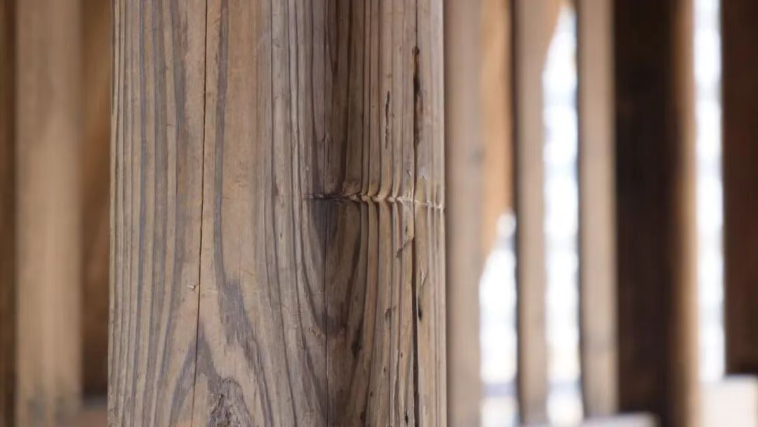 这条路，你记得吗？