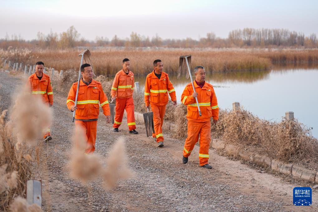 保护黄河湿地 守护候鸟家园
