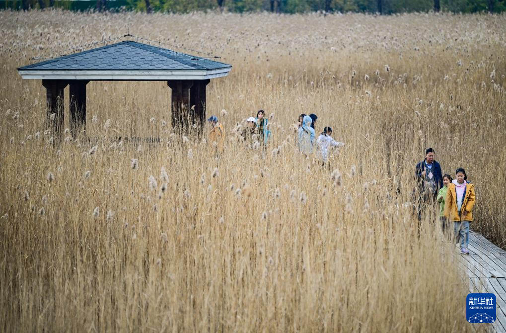 初冬园博园,周末好时光