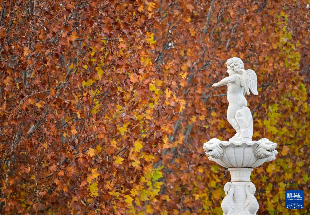 初冬园博园,周末好时光