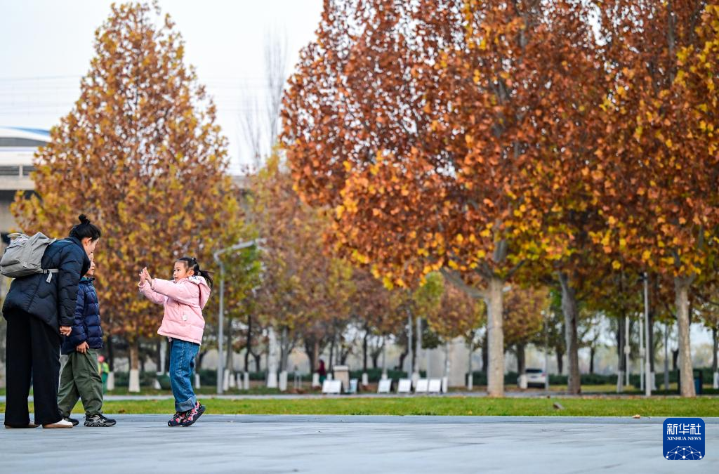 初冬园博园,周末好时光