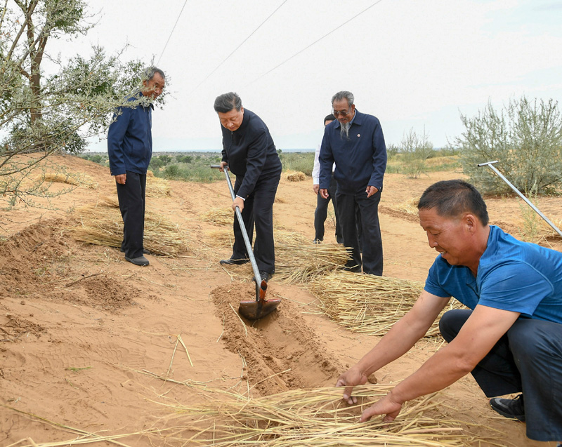 习近平与劳动人民在一起