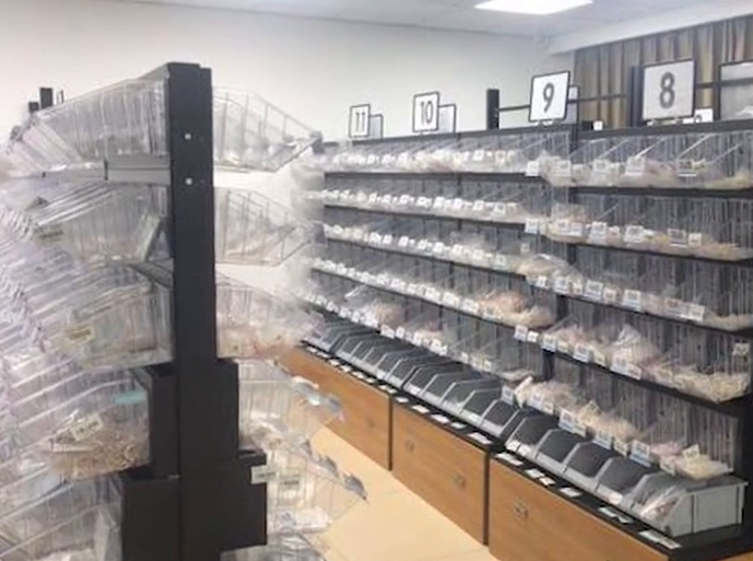 百万粉丝带货主播公然售假！直播现场被抓，50名涉案人员已被抓获