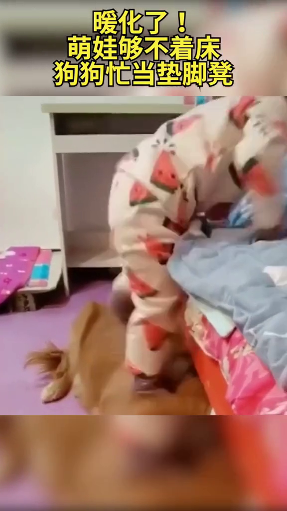 暖化了！萌娃够不着床，狗狗忙当垫脚凳