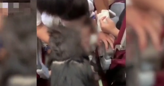 幼童飞行途中被葡萄干卡喉咙 空姐跪地紧急施救：一定要救活他！