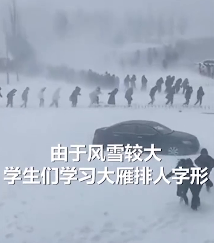 南极探险吗？不，是黑龙江学生暴雪中去上课 排成人字形艰难跋涉