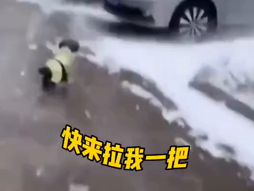 铲屎的，还不赶快来拉我一把！路面结冰狗子刹不住车