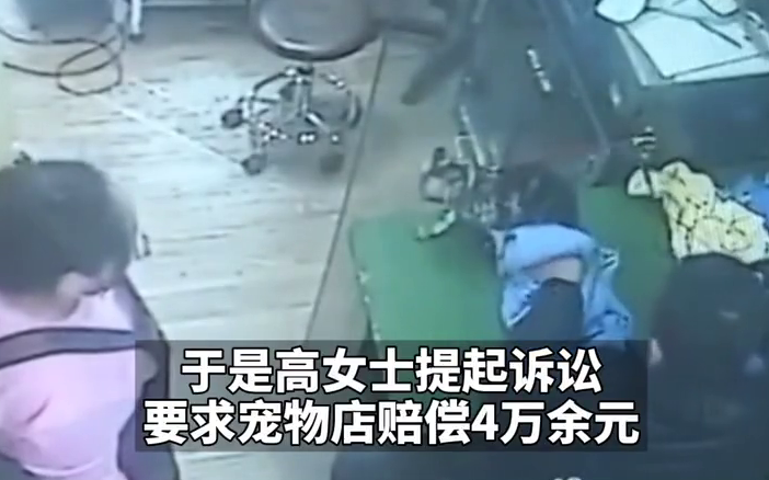 估值4万会6项技能！猫咪宠物店洗澡意外死亡 法院判赔6000元