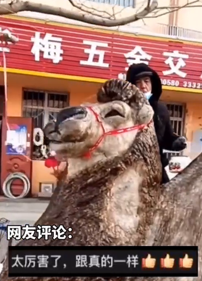 新疆一位大叔用雪堆了一头骆驼，栩栩如生，被网友称为民间高手