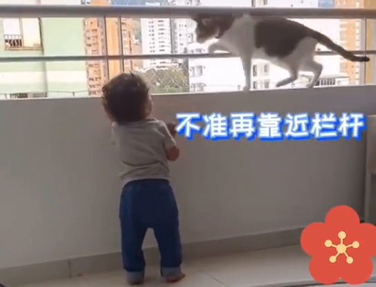 1岁宝宝总想爬窗台,“猫咪奶爸”全程保护! 1岁宝宝总想爬窗台,“猫咪奶爸”全程保护!