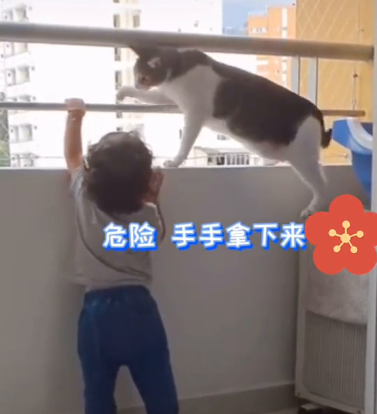 1岁宝宝总想爬窗台,“猫咪奶爸”全程保护! 1岁宝宝总想爬窗台,“猫咪奶爸”全程保护!