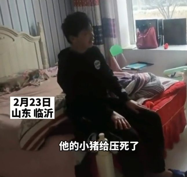 男孩睡觉压死宠物猪，崩溃到眼哭肿，网友：又同情又好笑