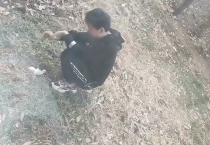 男孩睡觉压死宠物猪，崩溃到眼哭肿，网友：又同情又好笑