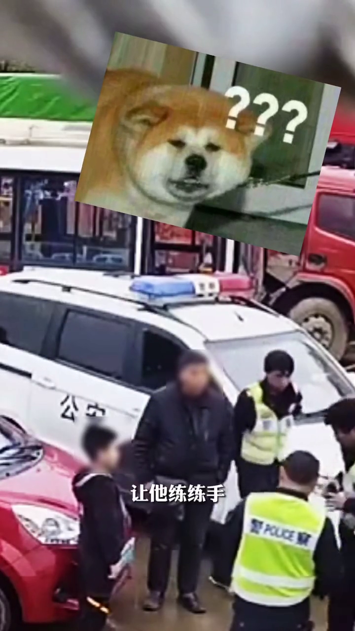 湖南11岁男孩开车上路，爸爸：碰碰车玩得好