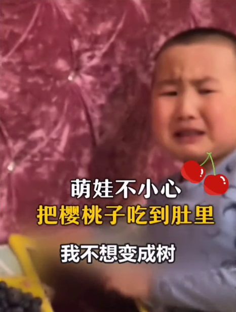 笑哭了！萌娃误把樱桃子吃进肚子里，哭着说不想变成树