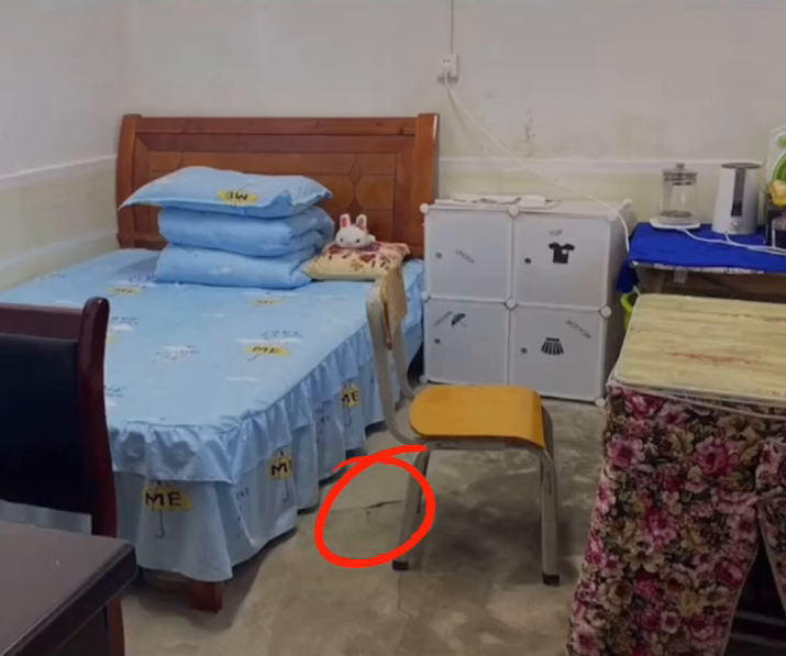 老师开学时拍下办公室地上“裂缝” 一个月后钻出春笋 老师开学时拍下办公室地上“裂缝” 一个月后钻出春笋