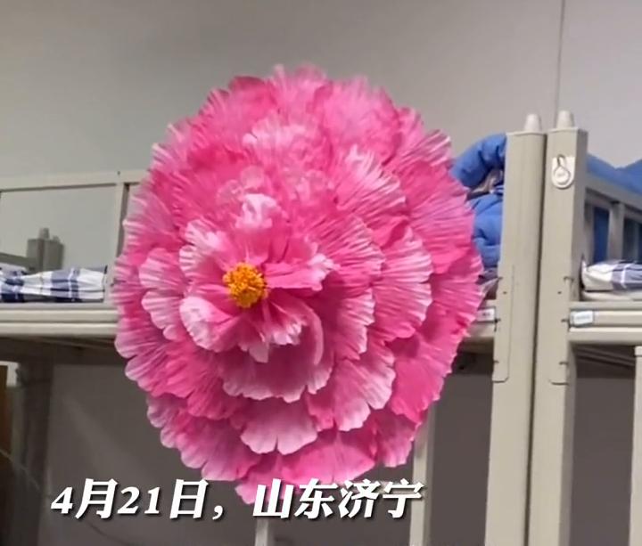 高校一男生为脱单，网购姻缘伞挂床头招桃花，网友：求链接