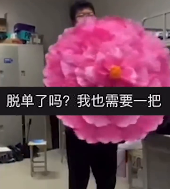高校一男生为脱单，网购姻缘伞挂床头招桃花，网友：求链接
