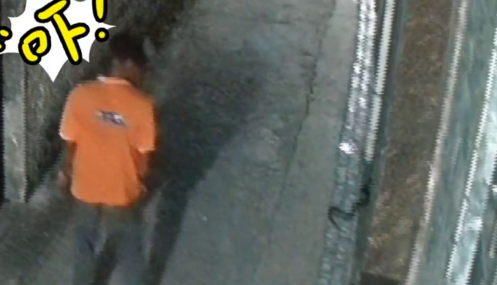 眼镜蛇夜间欲入屋，“热心”街坊打死占为己有，律师：或涉嫌违法