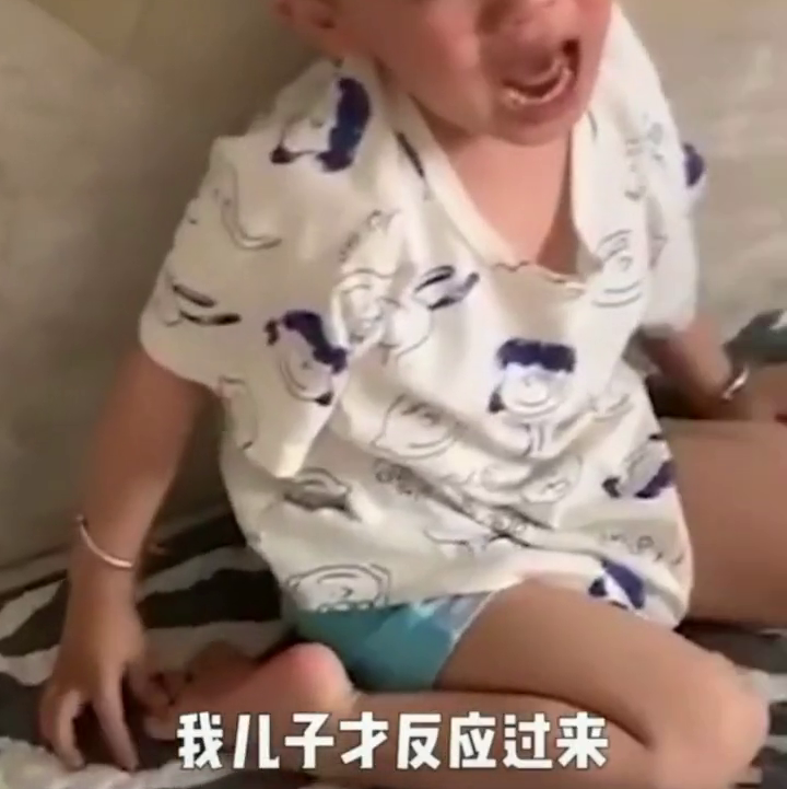 柯基抢走小主人的奶酪棒，孩子“迟钝”反应崩溃大哭