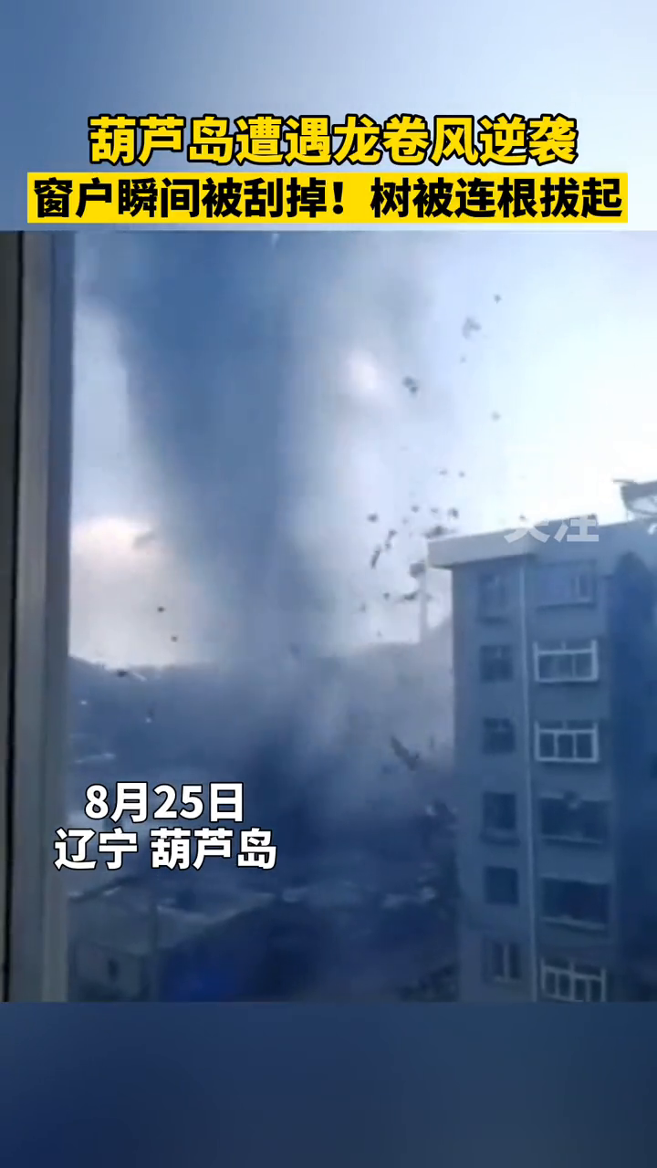 辽宁葫芦岛遭遇龙卷风袭击 住户窗户瞬间被刮掉、树被连根拔起！