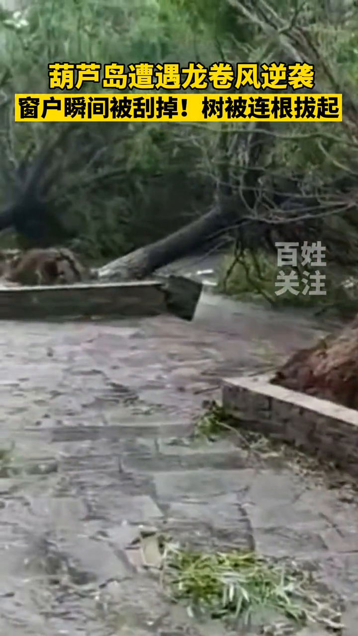 辽宁葫芦岛遭遇龙卷风袭击 住户窗户瞬间被刮掉、树被连根拔起！