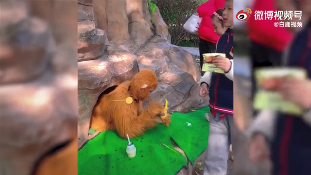 还招人吗？男子扮孙悟空被困山下萌娃狂喂零食