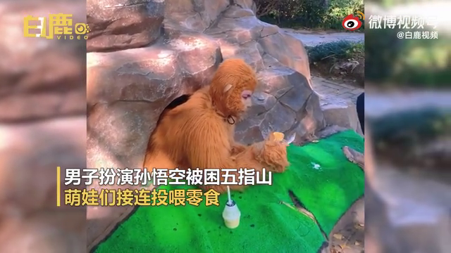 还招人吗？男子扮孙悟空被困山下萌娃狂喂零食