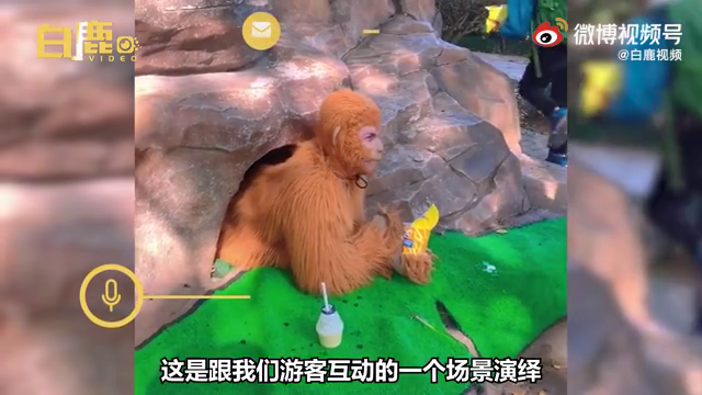 还招人吗？男子扮孙悟空被困山下萌娃狂喂零食