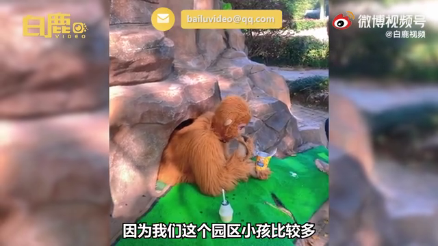 还招人吗？男子扮孙悟空被困山下萌娃狂喂零食