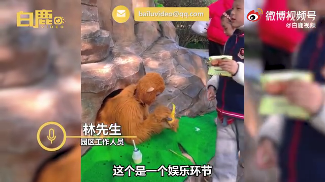 还招人吗？男子扮孙悟空被困山下萌娃狂喂零食