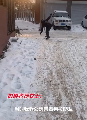 男子遛哈士奇反被遛，网友：这遛狗多少有点费人