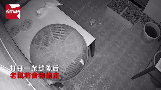 老鼠智商有多高？食物隔着罩子也被老鼠偷吃，主人一看监控惊了