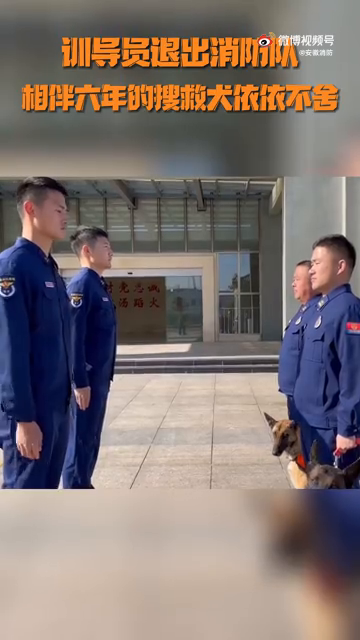 有多不舍？搜救犬与训导员离别一幕让人泪目