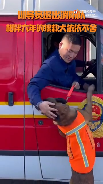 有多不舍？搜救犬与训导员离别一幕让人泪目