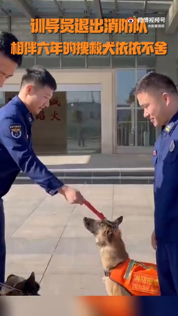 有多不舍？搜救犬与训导员离别一幕让人泪目