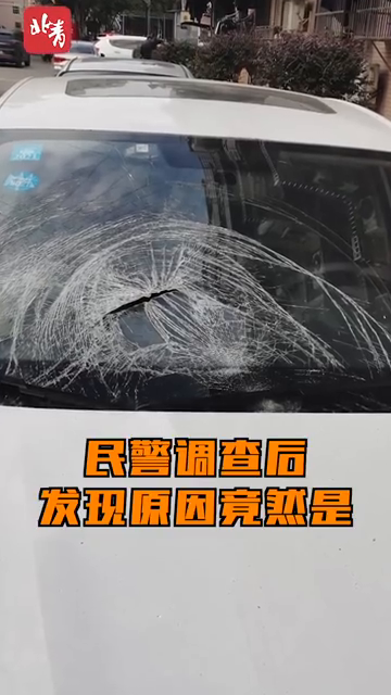 离奇案件！馋猫偷吃肉坠落阳台，砸碎楼下轿车的挡风玻璃