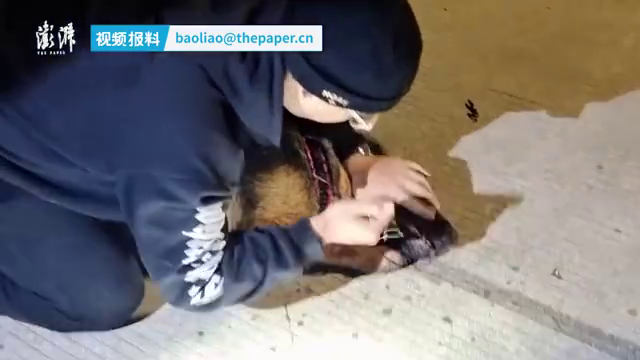 德牧犬舌头被链条卡住，主人深夜带它进消防队求助