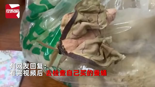 女子忘记吃蚕蛹数天后塑料袋异响，一看吓一跳：孵出一只超大蛾子