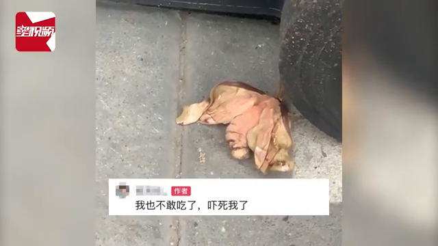 女子忘记吃蚕蛹数天后塑料袋异响，一看吓一跳：孵出一只超大蛾子