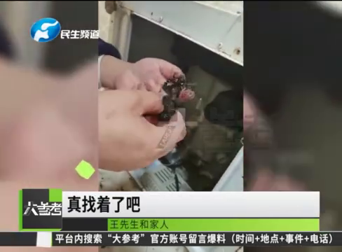 意外惊喜！男子修理洗衣机找到遗失4年的金项链
