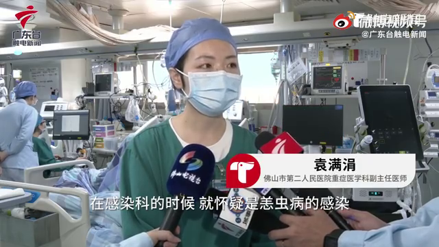 爱猫的你要警惕！女子撸猫后患恙虫病呼吸衰竭