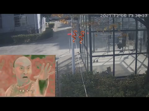 交警队香肠被盗 派出所破案发现窃贼竟是一只猫