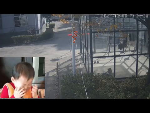 交警队香肠被盗 派出所破案发现窃贼竟是一只猫