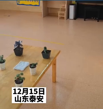 幼儿园让萌娃带多肉，萌娃：带好多肉