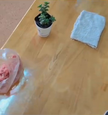 幼儿园让萌娃带多肉，萌娃：带好多肉