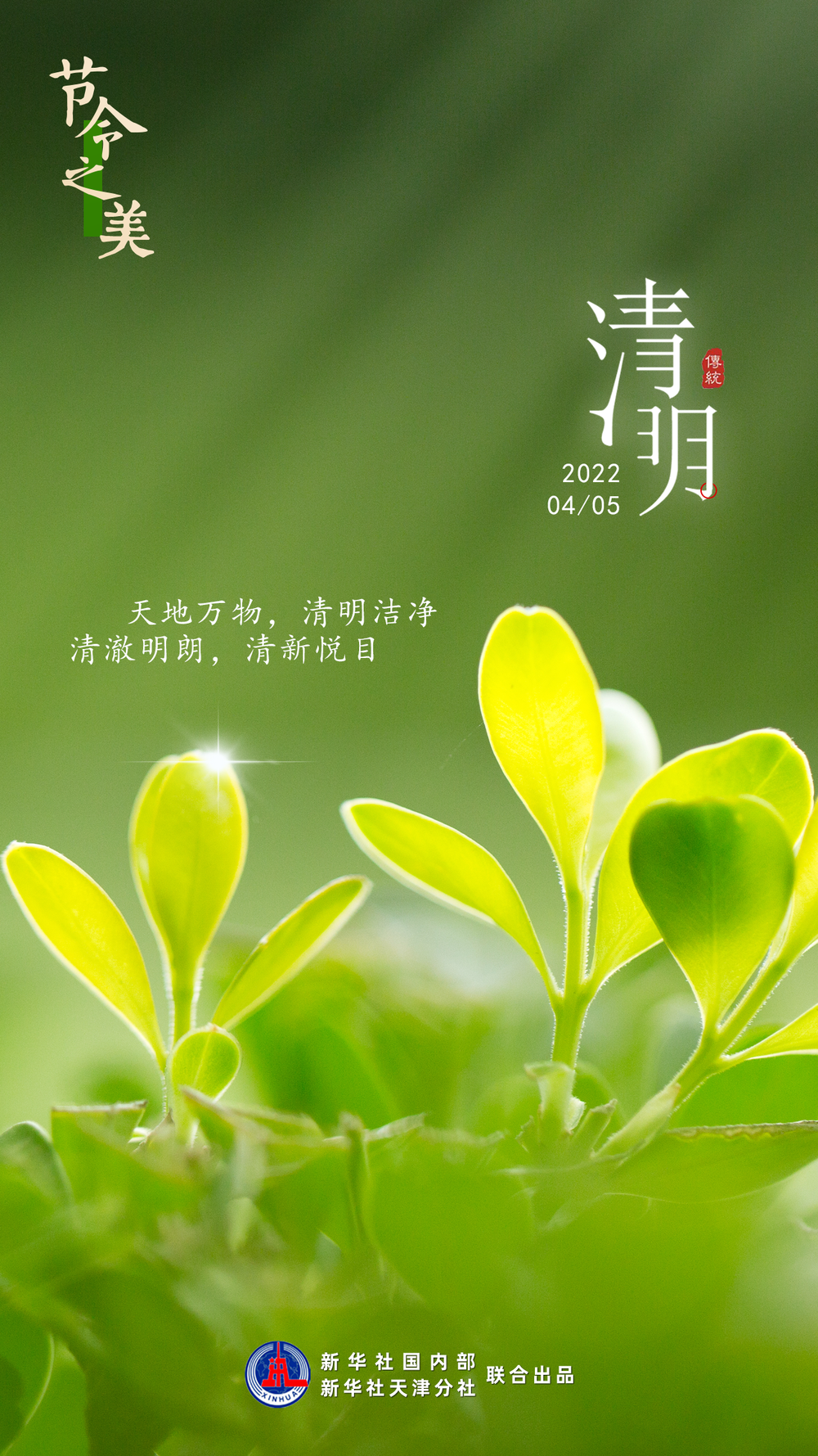 5日“清明”：春色撩人眼，最美四月天