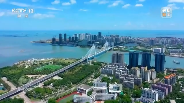 焦点访谈丨高效统筹 掌舵定向——领航