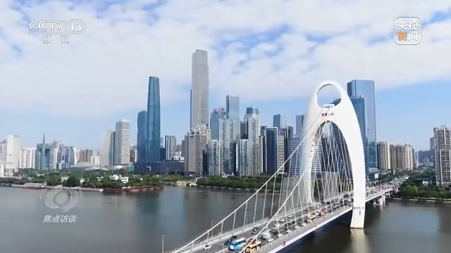 焦点访谈丨高效统筹 掌舵定向——领航