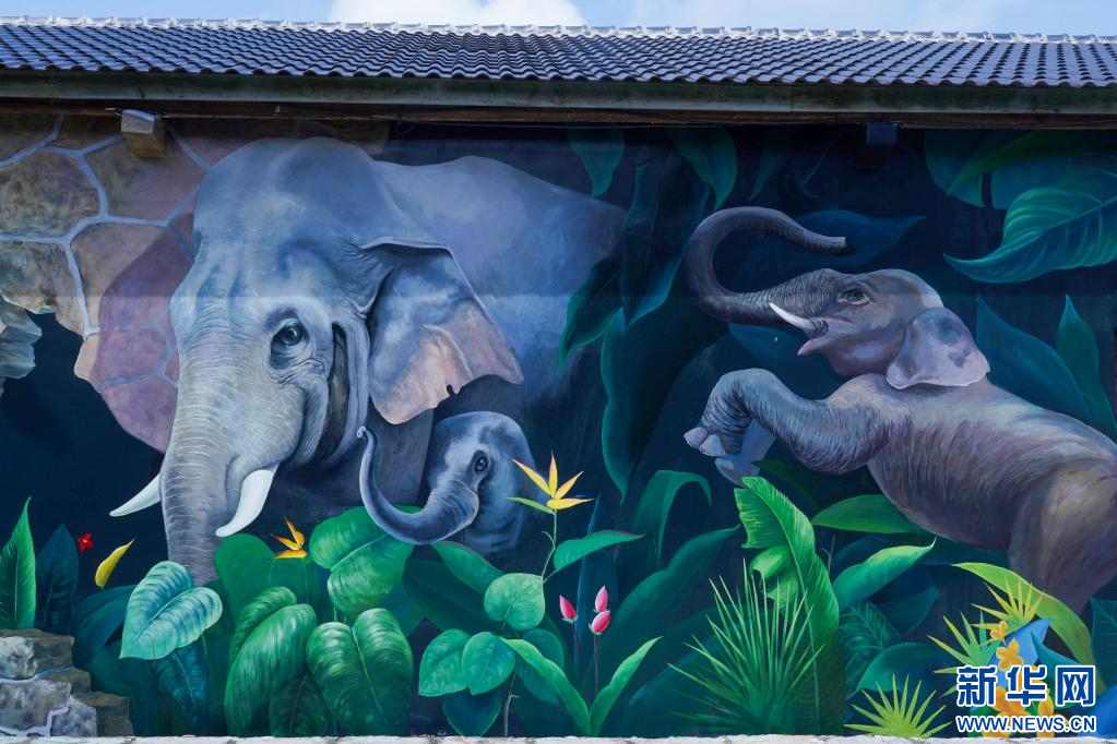 云南这个村有“看头”!斑斓色彩绘出乡村靓景 云南这个村有“看头”!斑斓色彩绘出乡村靓景